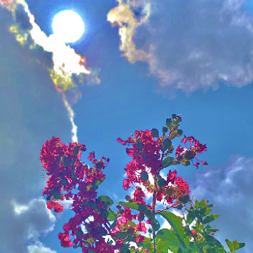 tsukubamirai_insta01