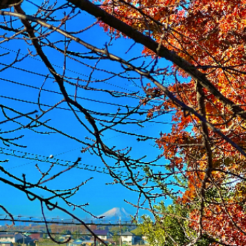 tsukubamirai_insta03