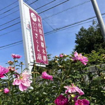 tsukubamirai_insta04
